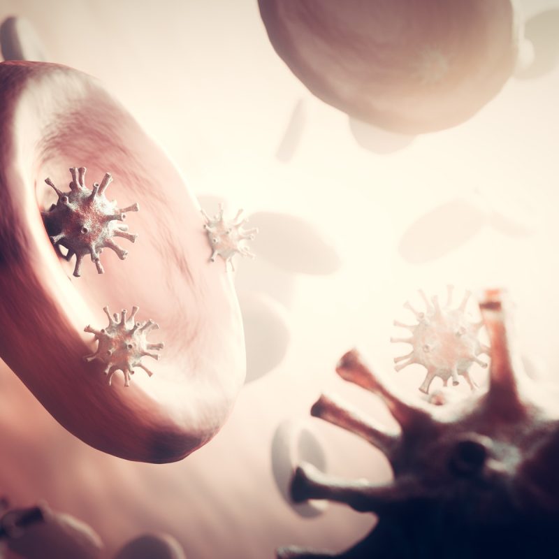 Coronavirus Covid-19 attacking blood cells.